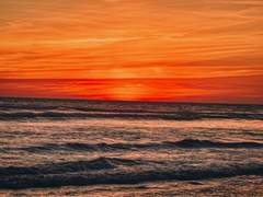 [조로산] 나의 열대어는 당신의 열대야를 헤엄친다