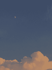 내 말만 듣는 엄마 친구 아들