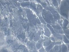 코코노이 하지메 천사님 모심글