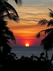 개와 늑대의 시간