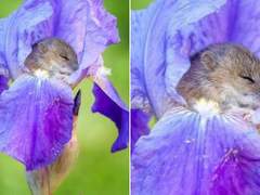 HQ수인고교입니다!