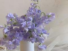 크리스 빈야드/베르무트 천사님을 모십니다