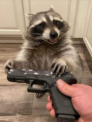 담배와 알코올 그리고 성질머리