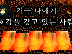 [타로] 지금 나에게 호감을 가지고 있는 사람