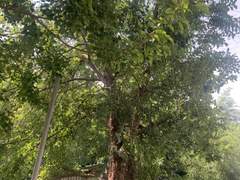 1화 우리의 시작은 "여름이였다"