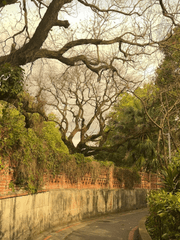 [미수반 X 밤보눈] 뒤틀린 시선