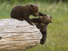 남매는 오늘도 평화롭다+++++