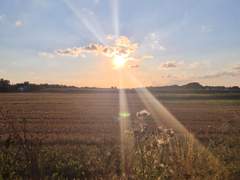 [다자츄] 사건의 지평선