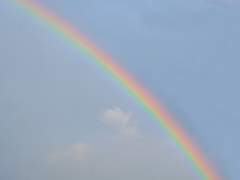 늦여름에 소나기가 찾아오면 비로소 사랑이 완성된다