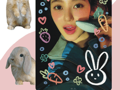 투명 포카 유료 도안 공유