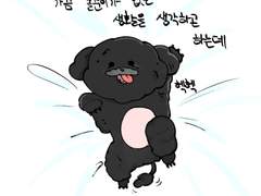 조금은 슬픈 이야기