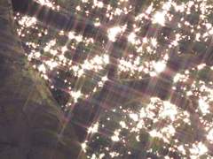 𝑰𝑵 𝑴𝒀 𝑫𝑹𝑬𝑨𝑴