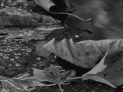 너는 부서진 것을 무어라 부르나.