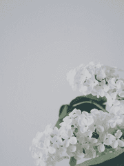 이전 포타 백업