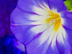 그 보석은 어째서 빛을 내나요?