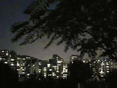 브베의 일상 - 세상에게 묻고 자신에게 묻고