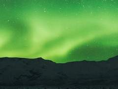 [븨백]가지 말아요,