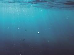 [우성명헌] Dead In Your Water