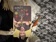 이번 주의 카드: 7 of Pentacles reversed