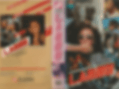 [비디오 표지] LA 용팔이