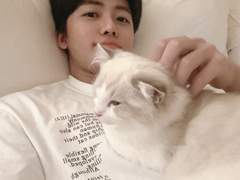 고양이 키우실래요? Talk