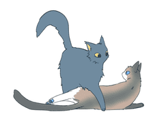 고양이행복하다면야옹해