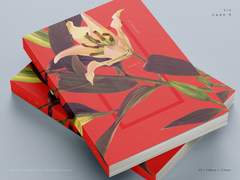 016 수요일의 객