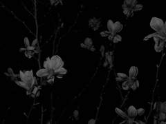 [준잇] Trick or Treat.