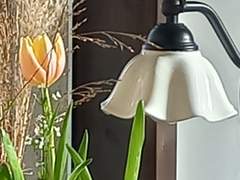 썰 [스파루치ts] 허니 트랩