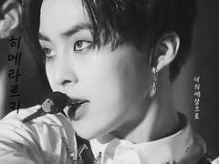 [찬백] 히에라르키.