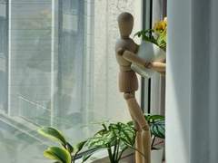 이런 승급 저런 승급