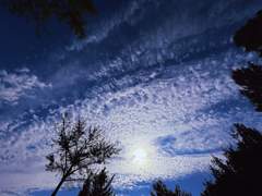 [태웅대만] 네버랜드 05