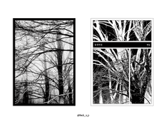 Sold out. 동귀어진