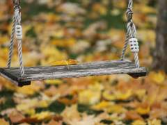 일희일비로 말을 허는디