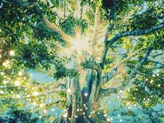 무드셀라와 당신