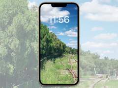 [무료배경화면]forest_05