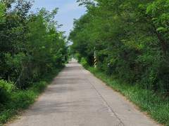 나는 왜 여자를 싫어하게 되었을까? 5.