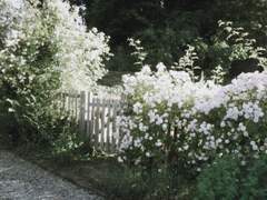 あの日の痕跡を、また探そう。