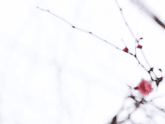 화산귀환 썰 모음 (7)