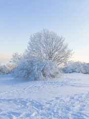 설산의 눈은 녹지 않고