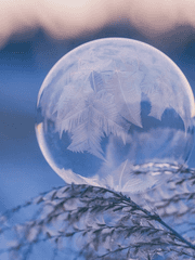 눈의 시간: 8호차의 비밀