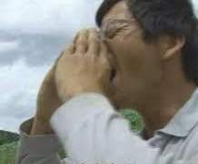 애니멀 피라미드 붕괴 사건 6