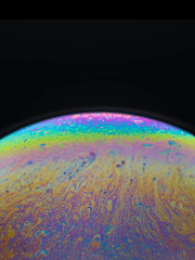 [카디] 마지막 동경