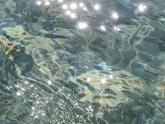 [ 윤슬아 / 17 / XX / 160cm ]