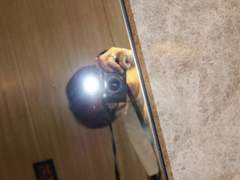 제 구독자분들 꼭꼭 읽어주세요