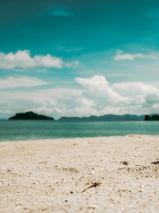 시화 드관 정리