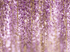 슬덩온 신간 <예비 1번> 통판 안내