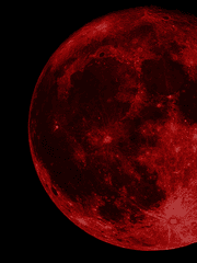 魔法使いの約束