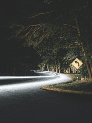 마술 : 야간 산행