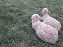 네가 내 이름을 불러 주었을 때